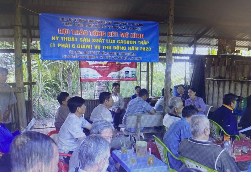 MÔ HÌNH KỸ THUẬT SẢN XUẤT LÚA CACBON THẤP